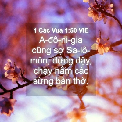 Picture 04 - 1 Các Vua 1:50 VIE - A-đô-ni-gia cũng sợ Sa-lô-môn, đứng - Bible Verse Picture