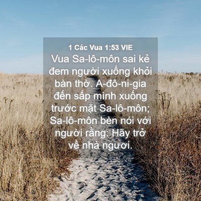 Picture 04 - 1 Các Vua 1:53 VIE - Vua Sa-lô-môn sai kẻ đem người xuống - Bible Verse Picture
