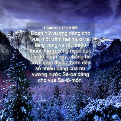 Picture 04 - 1 Các Vua 10:10 VIE - Đoạn nữ vương dâng cho vua một trăm - Bible Verse Picture