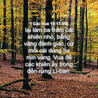 Picture 04 - 1 Các Vua 10:17 VIE - lại làm ba trăm cái khiên nhỏ, bằng - Bible Verse Picture