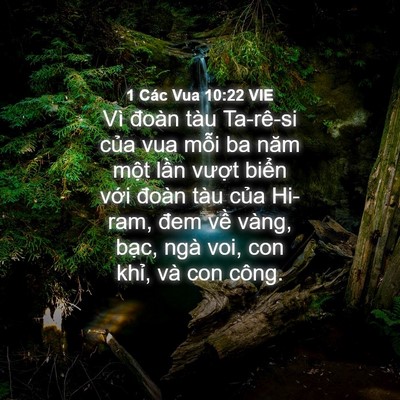 Picture 04 - 1 Các Vua 10:22 VIE - Vì đoàn tàu Ta-rê-si của vua mỗi ba năm - Bible Verse Picture