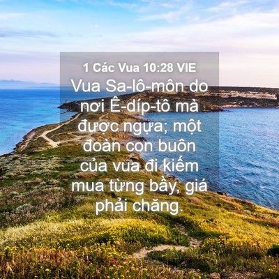 Picture 04 - 1 Các Vua 10:28 VIE - Vua Sa-lô-môn do nơi Ê-díp-tô mà được - Bible Verse Picture