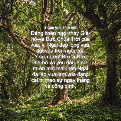 Picture 04 - 1 Các Vua 10:9 VIE - Đáng khen ngợi thay Giê-hô-va Đức Chúa - Bible Verse Picture