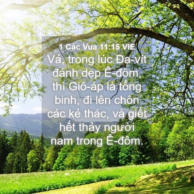 Picture 04 - 1 Các Vua 11:15 VIE - Vả, trong lúc Đa-vít đánh dẹp Ê-đôm, - Bible Verse Picture