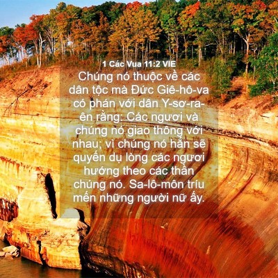 Picture 04 - 1 Các Vua 11:2 VIE - Chúng nó thuộc về các dân tộc mà - Bible Verse Picture