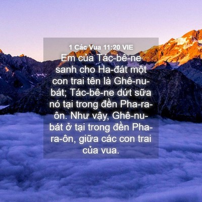 Picture 04 - 1 Các Vua 11:20 VIE - Em của Tác-bê-ne sanh cho Ha-đát một con - Bible Verse Picture