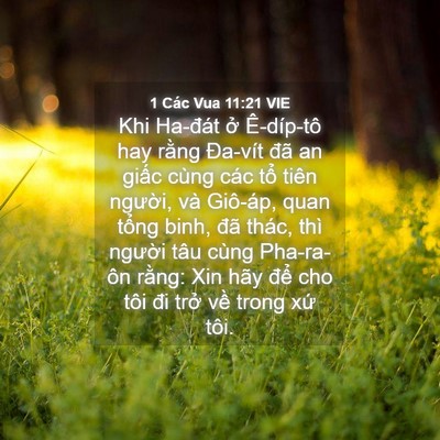 Picture 04 - 1 Các Vua 11:21 VIE - Khi Ha-đát ở Ê-díp-tô hay rằng Đa-vít - Bible Verse Picture