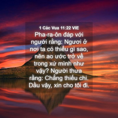 Picture 04 - 1 Các Vua 11:22 VIE - Pha-ra-ôn đáp với người rằng: Ngươi - Bible Verse Picture