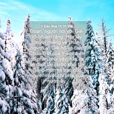 Picture 04 - 1 Các Vua 11:31 VIE - Đoạn, người nói với Giê-rô-bô-am - Bible Verse Picture