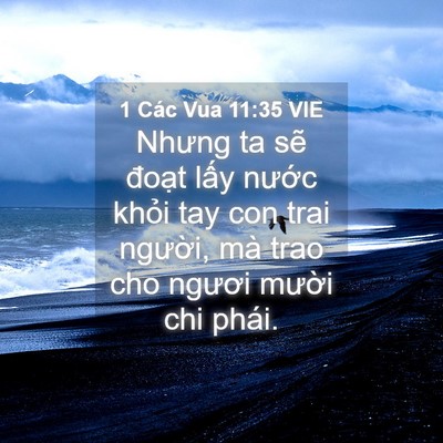 Picture 04 - 1 Các Vua 11:35 VIE - Nhưng ta sẽ đoạt lấy nước khỏi tay - Bible Verse Picture