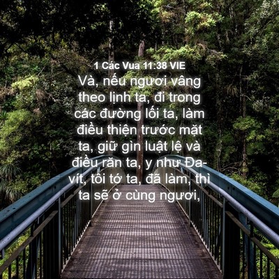 Picture 04 - 1 Các Vua 11:38 VIE - Và, nếu ngươi vâng theo lịnh ta, đi - Bible Verse Picture
