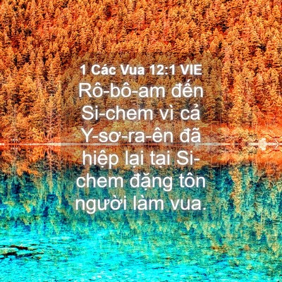 Picture 04 - 1 Các Vua 12:1 VIE - Rô-bô-am đến Si-chem vì cả Y-sơ-ra-ên - Bible Verse Picture
