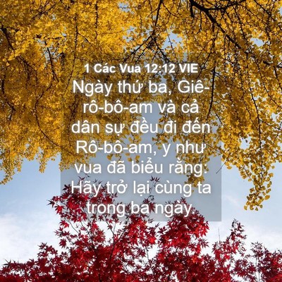 Picture 04 - 1 Các Vua 12:12 VIE - Ngày thứ ba, Giê-rô-bô-am và cả dân - Bible Verse Picture