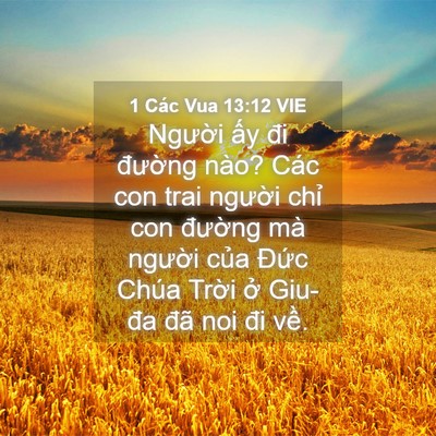 Picture 04 - 1 Các Vua 13:12 VIE - Người ấy đi đường nào? Các con trai - Bible Verse Picture