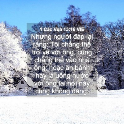 Picture 04 - 1 Các Vua 13:16 VIE - Nhưng người đáp lại rằng: Tôi chẳng - Bible Verse Picture