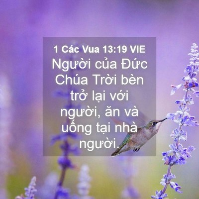 Picture 04 - 1 Các Vua 13:19 VIE - Người của Đức Chúa Trời bèn trở - Bible Verse Picture