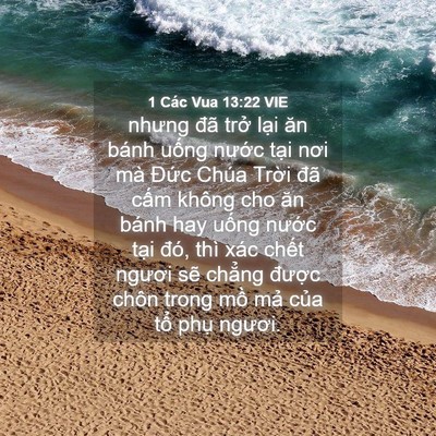 Picture 04 - 1 Các Vua 13:22 VIE - nhưng đã trở lại ăn bánh uống nước - Bible Verse Picture