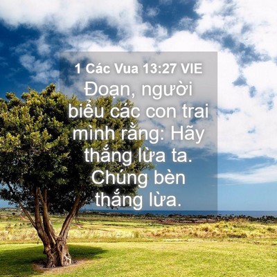 Picture 04 - 1 Các Vua 13:27 VIE - Đoạn, người biểu các con trai mình - Bible Verse Picture