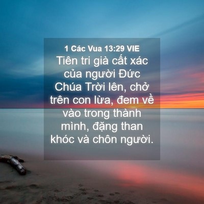 Picture 04 - 1 Các Vua 13:29 VIE - Tiên tri già cất xác của người Đức - Bible Verse Picture