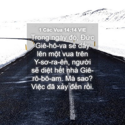 Picture 04 - 1 Các Vua 14:14 VIE - Trong ngày đó, Đức Giê-hô-va sẽ dấy - Bible Verse Picture