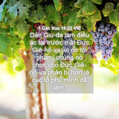 Picture 04 - 1 Các Vua 14:22 VIE - Dân Giu-đa làm điều ác tại trước - Bible Verse Picture