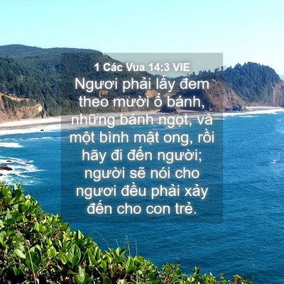 Picture 04 - 1 Các Vua 14:3 VIE - Ngươi phải lấy đem theo mười ổ bánh, - Bible Verse Picture
