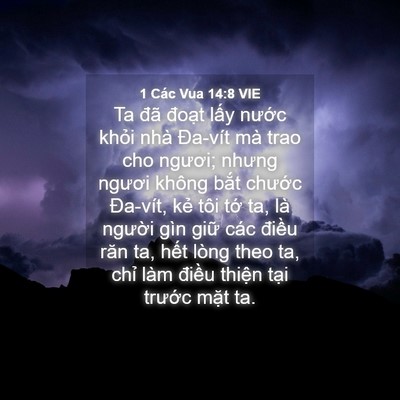 Picture 04 - 1 Các Vua 14:8 VIE - Ta đã đoạt lấy nước khỏi nhà - Bible Verse Picture