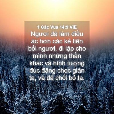 Picture 04 - 1 Các Vua 14:9 VIE - Ngươi đã làm điều ác hơn các kẻ - Bible Verse Picture