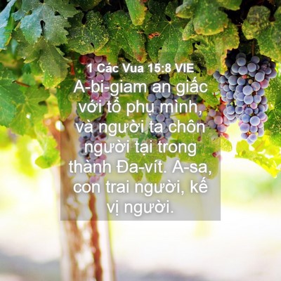Picture 04 - 1 Các Vua 15:8 VIE - A-bi-giam an giấc với tổ phụ mình, và - Bible Verse Picture
