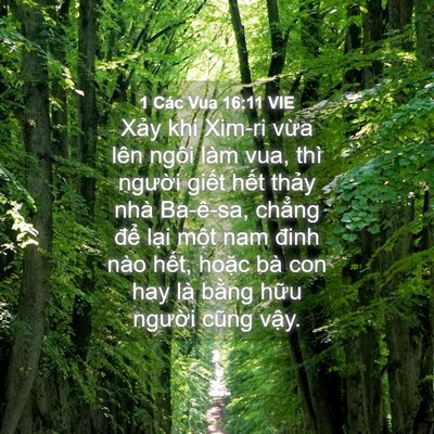 Picture 04 - 1 Các Vua 16:11 VIE - Xảy khi Xim-ri vừa lên ngôi làm vua, thì - Bible Verse Picture