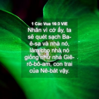 Picture 04 - 1 Các Vua 16:3 VIE - Nhân vì cớ ấy, ta sẽ quét sạch - Bible Verse Picture