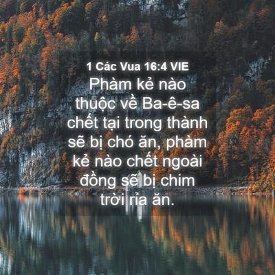 Picture 04 - 1 Các Vua 16:4 VIE - Phàm kẻ nào thuộc về Ba-ê-sa chết - Bible Verse Picture