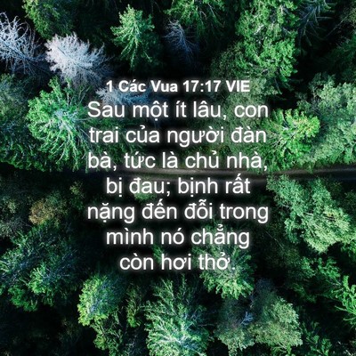 Picture 04 - 1 Các Vua 17:17 VIE - Sau một ít lâu, con trai của người đàn - Bible Verse Picture