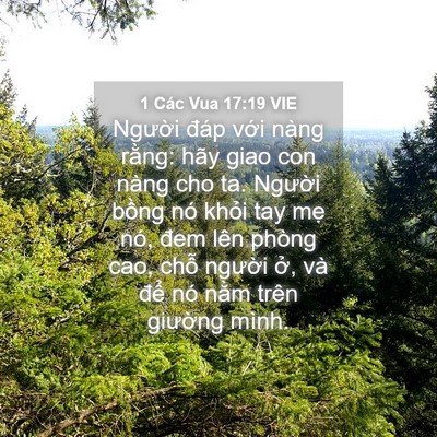 Picture 04 - 1 Các Vua 17:19 VIE - Người đáp với nàng rằng: hãy giao con - Bible Verse Picture