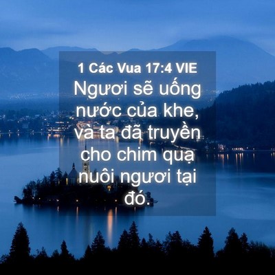 Picture 04 - 1 Các Vua 17:4 VIE - Ngươi sẽ uống nước của khe, và ta - Bible Verse Picture