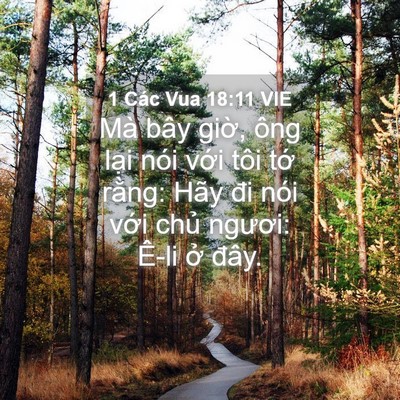 Picture 04 - 1 Các Vua 18:11 VIE - Mà bây giờ, ông lại nói với tôi tớ - Bible Verse Picture