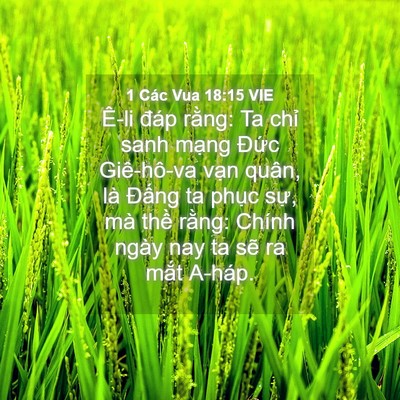 Picture 04 - 1 Các Vua 18:15 VIE - Ê-li đáp rằng: Ta chỉ sanh mạng Đức - Bible Verse Picture