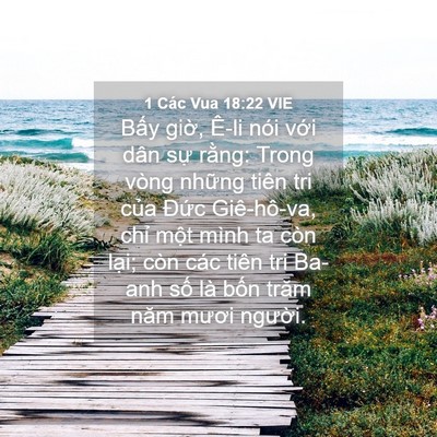 Picture 04 - 1 Các Vua 18:22 VIE - Bấy giờ, Ê-li nói với dân sự rằng: - Bible Verse Picture