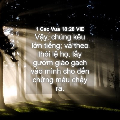 Picture 04 - 1 Các Vua 18:28 VIE - Vậy, chúng kêu lớn tiếng; và theo thói - Bible Verse Picture