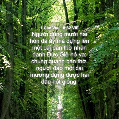 Picture 04 - 1 Các Vua 18:32 VIE - Người dùng mười hai hòn đá ấy mà - Bible Verse Picture