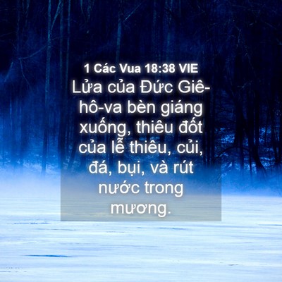 Picture 04 - 1 Các Vua 18:38 VIE - Lửa của Đức Giê-hô-va bèn giáng - Bible Verse Picture