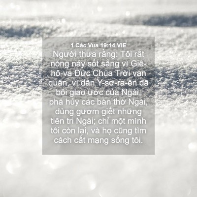 Picture 04 - 1 Các Vua 19:14 VIE - Người thưa rằng: Tôi rất nóng nảy - Bible Verse Picture