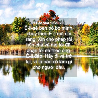 Picture 04 - 1 Các Vua 19:20 VIE - Ê-li-sê bèn bỏ bò mình, chạy theo Ê-li - Bible Verse Picture
