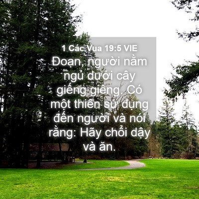 Picture 04 - 1 Các Vua 19:5 VIE - Đoạn, người nằm ngủ dưới cây - Bible Verse Picture