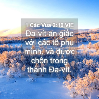 Picture 04 - 1 Các Vua 2:10 VIE - Đa-vít an giấc với các tổ phụ mình, - Bible Verse Picture