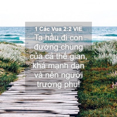Picture 04 - 1 Các Vua 2:2 VIE - Ta hầu đi con đường chung của cả thế - Bible Verse Picture