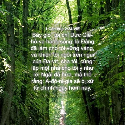 Picture 04 - 1 Các Vua 2:24 VIE - Bây giờ, tôi chỉ Đức Giê-hô-va hằng - Bible Verse Picture