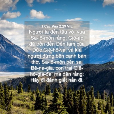 Picture 04 - 1 Các Vua 2:29 VIE - Người ta đến tâu với vua Sa-lô-môn - Bible Verse Picture