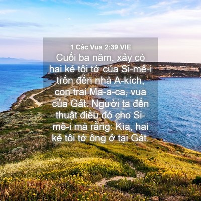 Picture 04 - 1 Các Vua 2:39 VIE - Cuối ba năm, xảy có hai kẻ tôi tớ - Bible Verse Picture