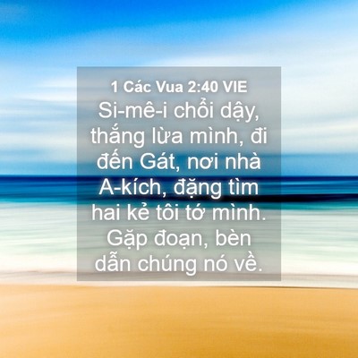 Picture 04 - 1 Các Vua 2:40 VIE - Si-mê-i chổi dậy, thắng lừa mình, đi - Bible Verse Picture
